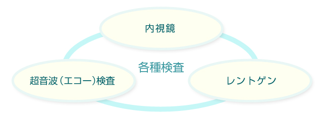 検査イメージ